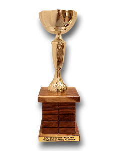 Best Provincial Family Team