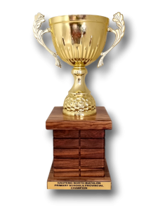 Best Provincial Primary School